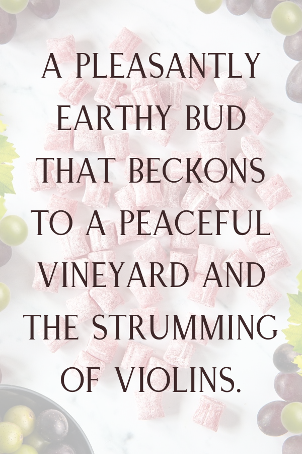 Muscadine Buds