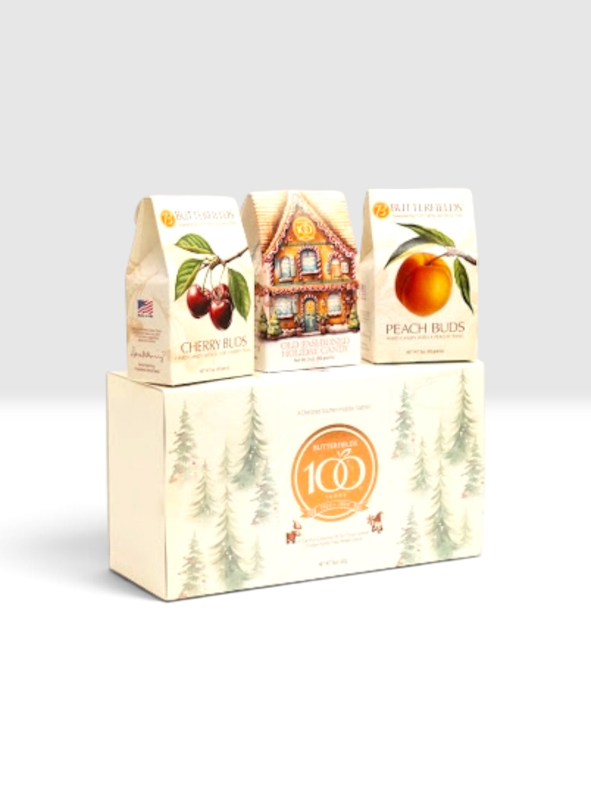 Holiday Gift Box