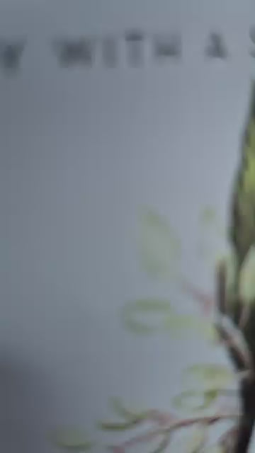 Cinnamon Buds - Fan Favorite